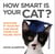 How Smart Is Your Cat? - Discover If Your Pet Can Solve These Fun Feline Tests