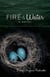 Fire & Water - A Suspense-filled Story of Art, Love, Passion, and Madness