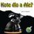 Kote dlo a Ale? / Where Did The Water Go? - Amy S. Hansen