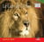 Le Lion de l'Atlas