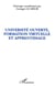 UNIVERSITÉ OUVERTE, FORMATION VIRTUELLE ET APPRENTISSAGE