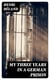 My Three Years in a German Prison