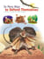 So Many Ways to Defend Themselves - A new way to explore the animal kingdom