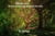 Gilley Glen Haven - A Tale of the Fae beyond the Vale - Gilley Glen Haven, #1