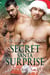 Secret Santa Surprise: Book 28 in the Kindred Tales Series - Kindred Tales, #28