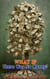 What If There Was No Money? - WHAT IF SERIES