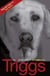 Triggs - The Autobiography of Roy Keane's Dog