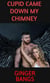 Cupid Came Down My Chimney - The Cupid Chronicles