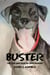 Buster: The Dog Who Danced With Danger