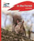 Reading Planet - In the Forest - Red A: Rocket Phonics