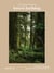 The Healing Magic of Forest Bathing - Finding Calm, Creativity, and Connection in the Natural World