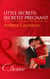 Little Secrets: Secretly Pregnant
