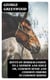 Hints on Horsemanship, to a Nephew and Niece or, Common Sense and Common Errors in Common Riding