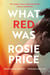 What Red Was - The powerful literary novel for readers of David Nicholls, Elizabeth Day, and Meg Wolitzer