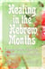 Healing in the Hebrew Months: Prophetic Strategies Hidden in the Tribes, Constellations, Gates, and Gems - Healing in the Hebrew Months, #2