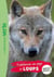 Wild Immersion 05 - Expédition au pays des loups