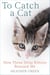 To Catch a Cat - How Three Stray Kittens Rescued Me