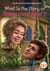 What Is the Story of Romeo and Juliet?