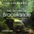Les Secrets de Brocéliande - Une enquête du commissaire Dupin