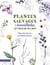 Plantes sauvages & bienveillantes au coin de ma rue
