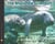 The Manatee Scientists - Saving Vulnerable Species