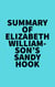 Summary of Elizabeth Williamson's Sandy Hook