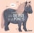 Connais-tu ? Les chevaux et les poneys