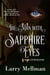 The Man With Sapphire Eyes - The Ballot Boy, #2