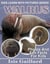 Walrus Photos and Fun Facts for Kids - Kids Learn With Pictures, #93