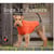 Dogs in Jumpers