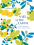 Salt of the Earth - Secrets and Stories From a Greek Kitchen