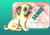 Jamie - Der kleine Mops