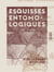 Esquisses entomologiques - Histoire naturelle des insectes les plus remarquables