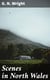 Scenes in North Wales - With Historical Illustrations, Legends, and Biographical Notices