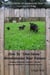 How To "One-Straw" Revolutionize Your Pasture: Adapting Masanobu Fukuoka's Natural Farming Methods for Permaculture Pasture - The Little Series of Homestead How-Tos from 5 Acres & A Dream, #13