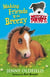 Making Friends with Breezy - Book 2