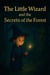 The Little Wizard and the Secrets of the Forest
