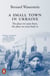 A Small Town in Ukraine - The place we came from, the place we went back to