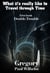 What It's Really like to Travel through Time: First book, "Double Trouble" - What it's really like to Travel through Time, #1