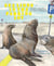 Sea Lions in the Parking Lot - Animals On The Move In A Time Of Pandemic