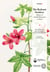 The Redouté brothers - Masters of scientific illustration in Paris