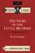 Story of the Little Big Horn