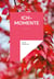 Ich-Momente