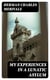 My Experiences in a Lunatic Asylum - By a Sane Patient