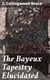 The Bayeux Tapestry Elucidated