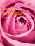 Rose-D'amour