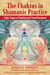 The Chakras in Shamanic Practice - Eight Stages of Healing and Transformation