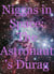 Niggas in Space: The Astronaut's Durag