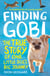 Finding Gobi (Younger Readers edition) - The true story of one little dog’s big journey