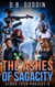The Ashes of Sagacity - Cyber Teen Project, #5